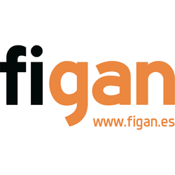 Figan